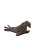 Elephant Seal - Lanart Alpaca