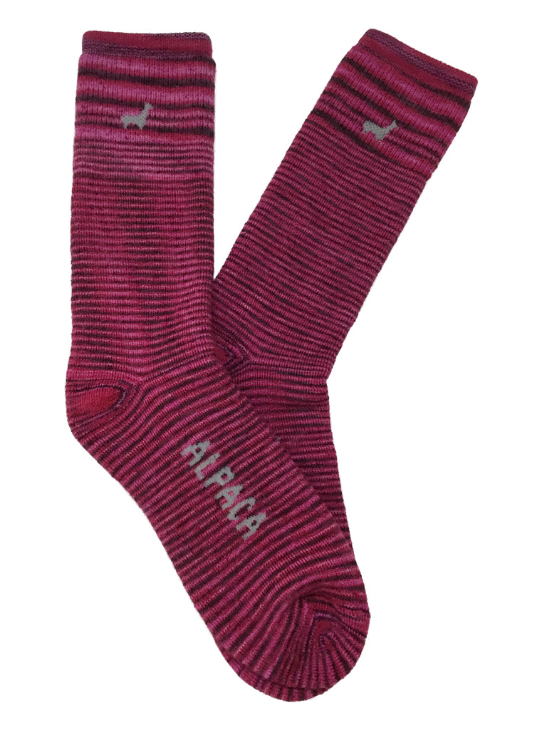 Socks Bundle