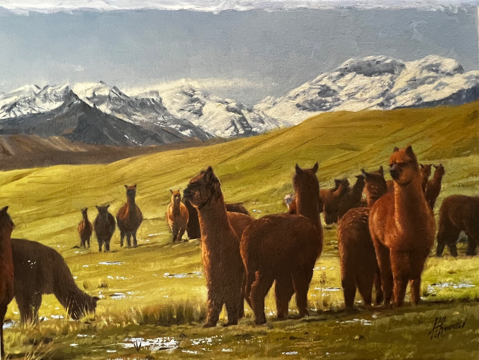 Rose Gray Alpacas Painting