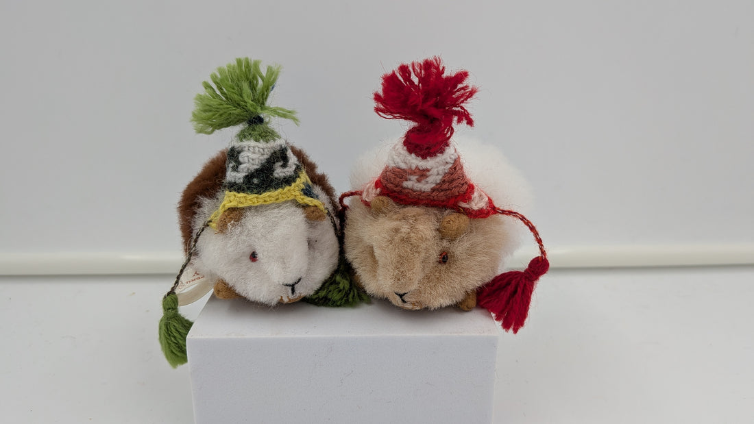 Two small plush guinea pigs wearing knitted winter hats and scarves, posed on a white display block against a plain light background.