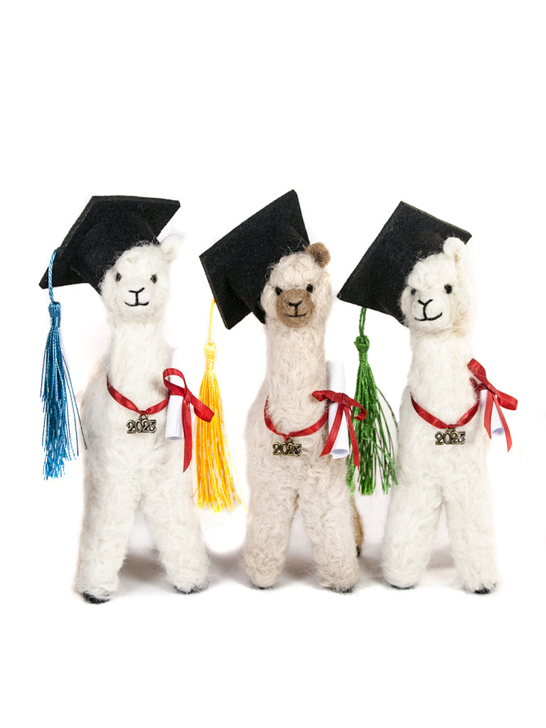 Graduation Alpaca