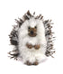 Hedgehog - Lanart Alpaca