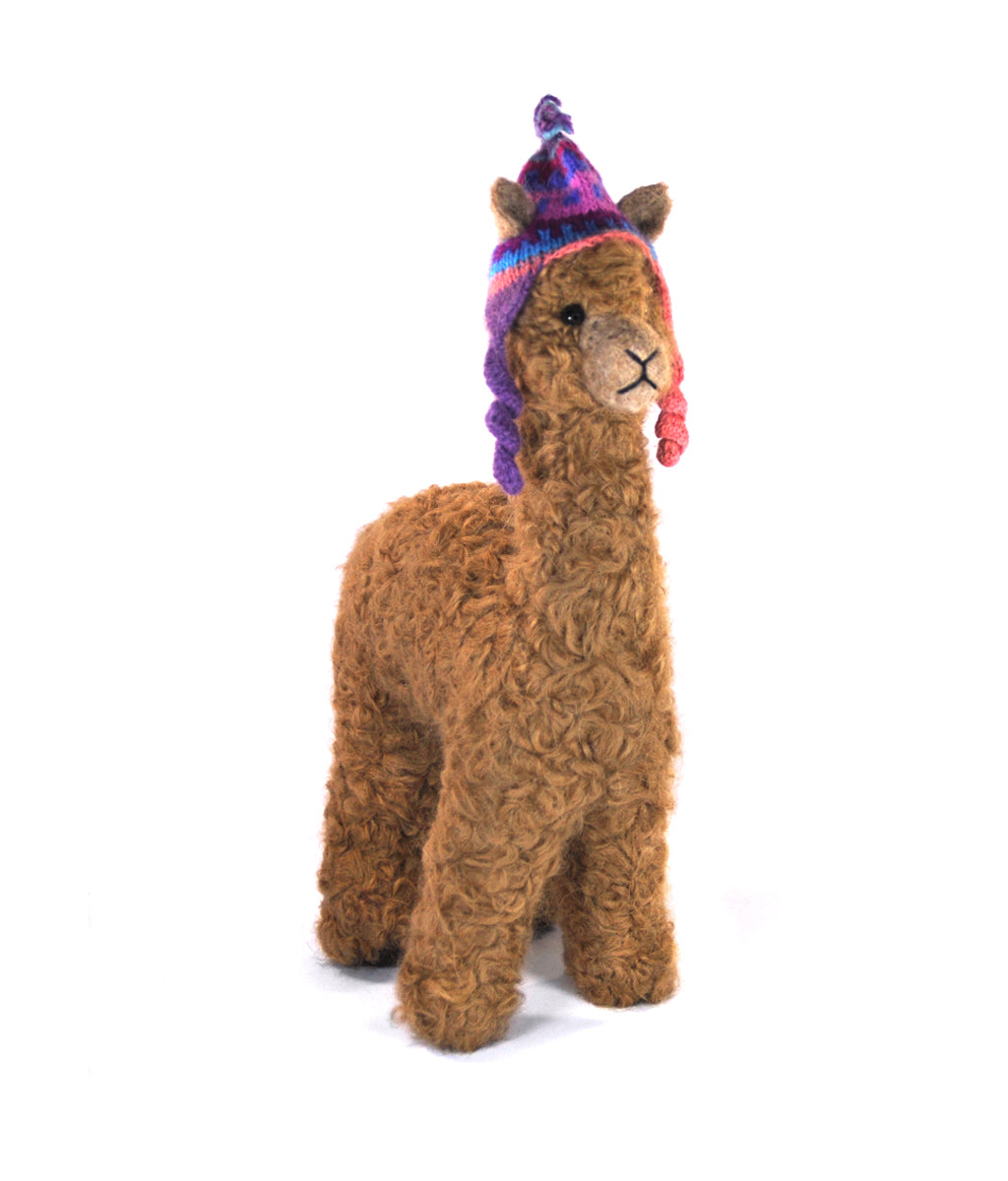 Herdsire Huacaya 12"