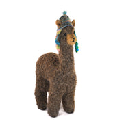 Herdsire Huacaya 12" - Lanart Alpaca