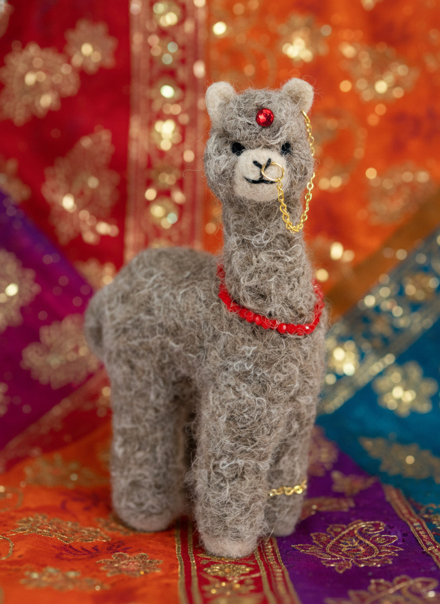 Hindu Alpaca