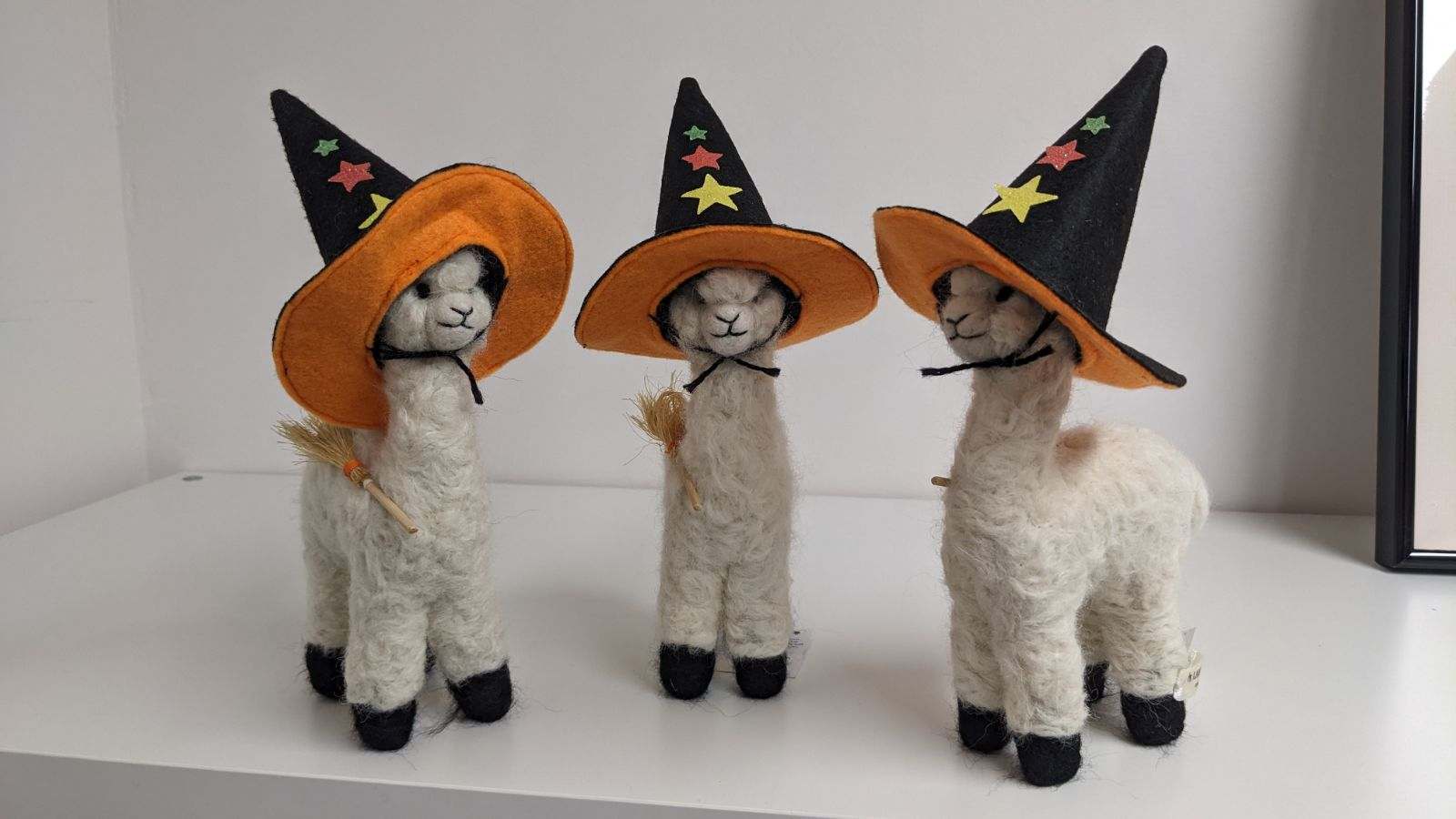 Alpaca Witch