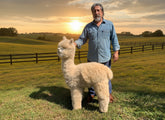 Bubba Plush Alpaca 46" - Lanart Alpaca