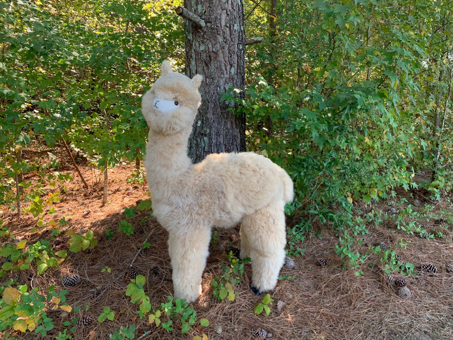 Bubba Plush Alpaca 46&quot;