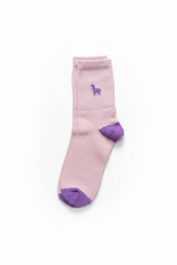Dress Socks Pink— Studio