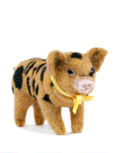 Kunekune Pig - Lanart Alpaca