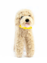 Luna Doodle - Lanart Alpaca