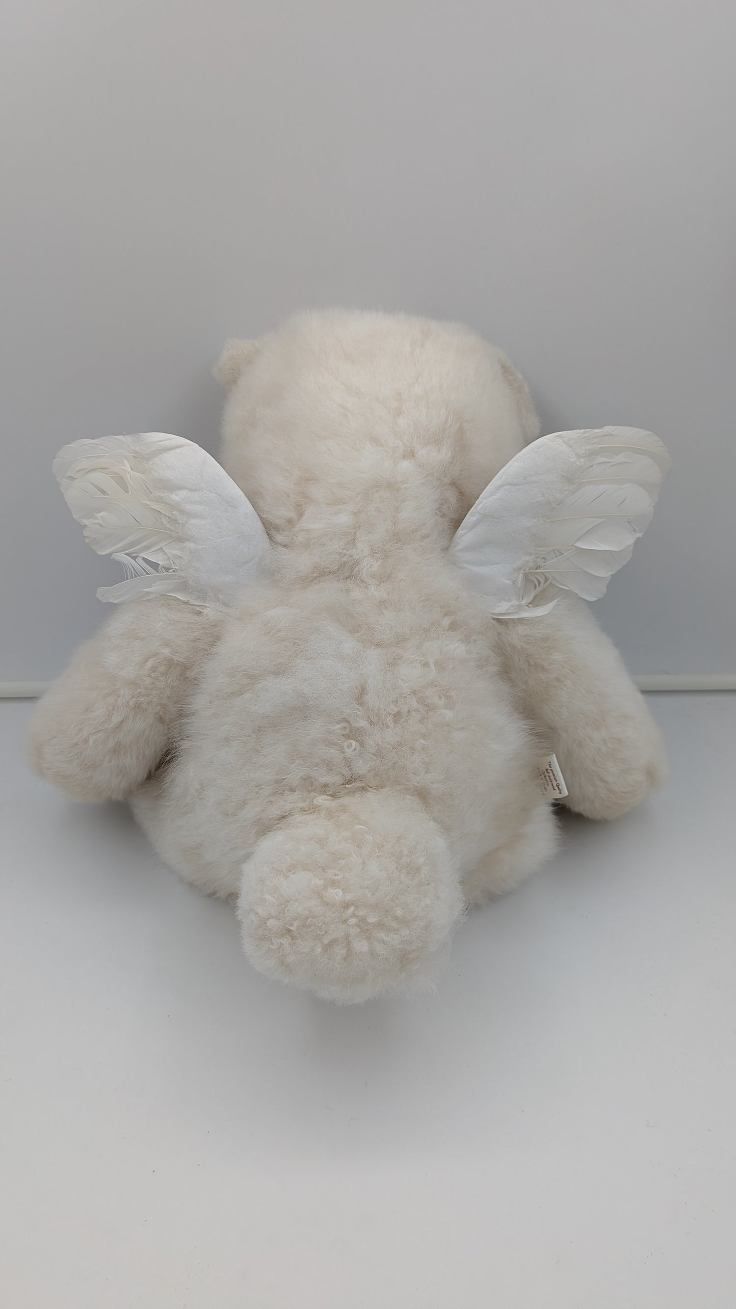 A fluffy cream-colored teddy bear plush toy with white angel wings, photographed from behind against a plain light gray background.