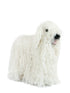 Komondor - Lanart Alpaca