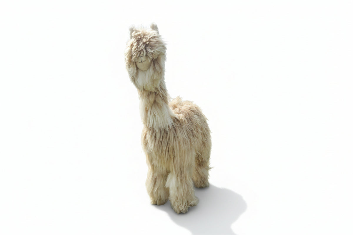Plush giant alpaca on a white background