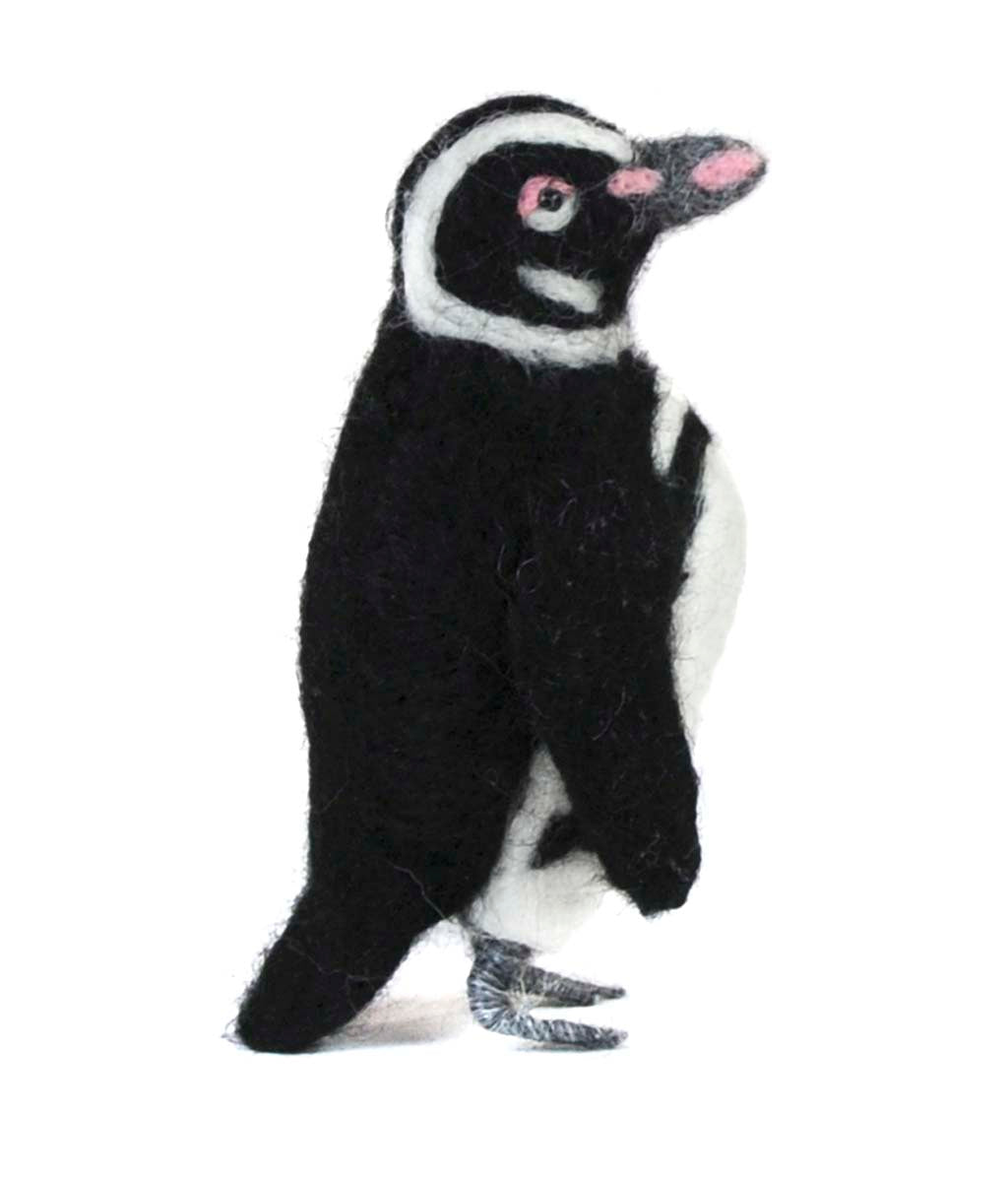 Magellanic Penguin