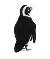 Magellanic Penguin - Lanart Alpaca