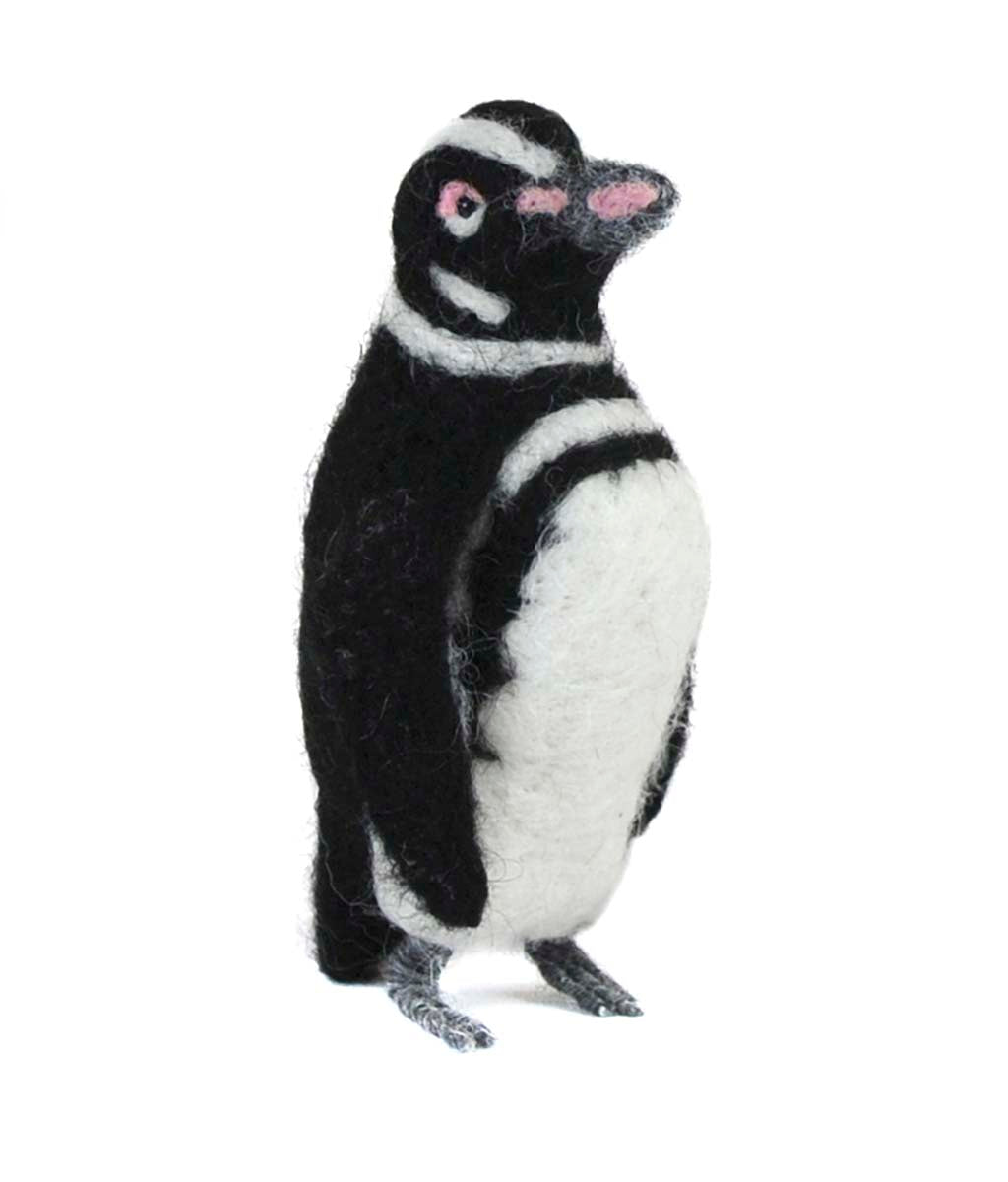 Magellanic Penguin