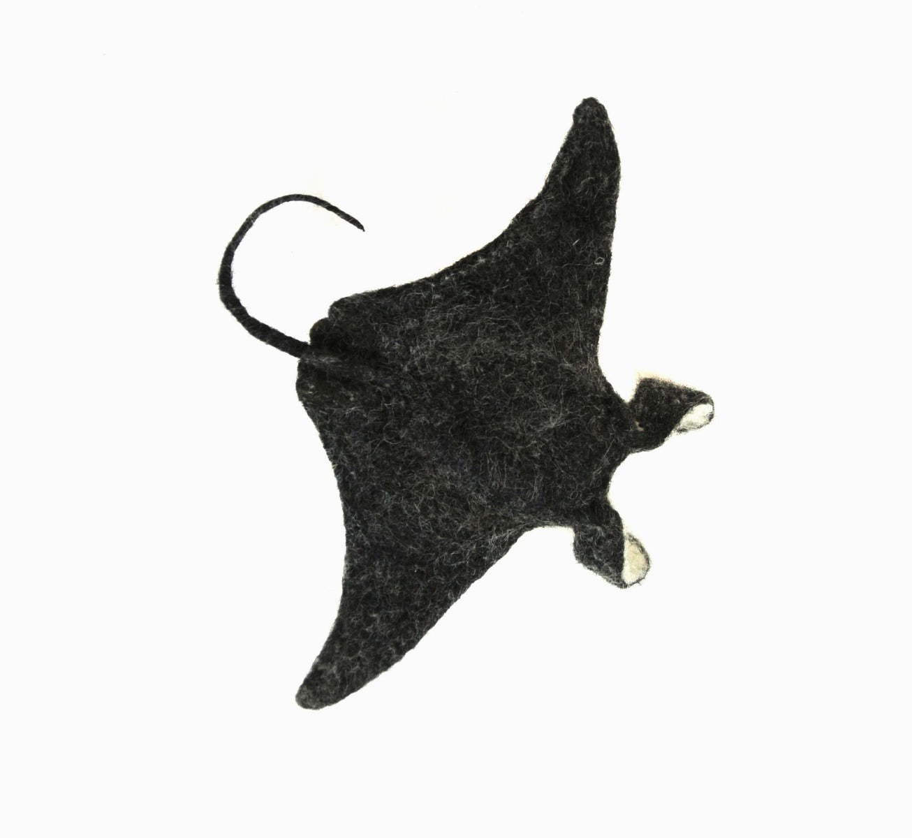 Manta Ray