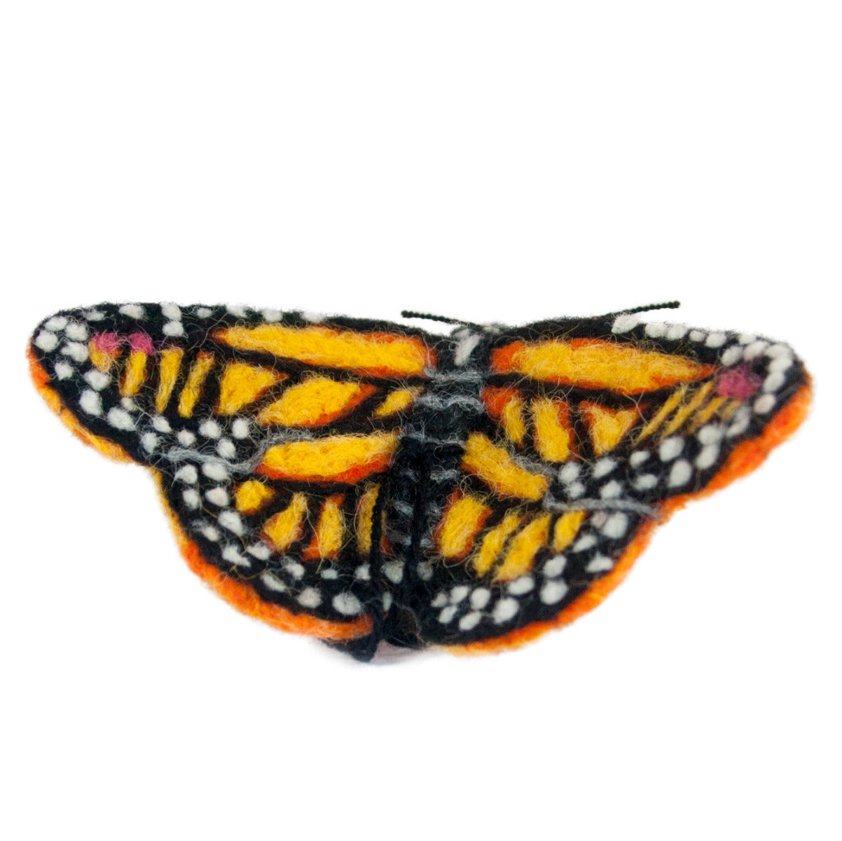 Monarch Butterfly