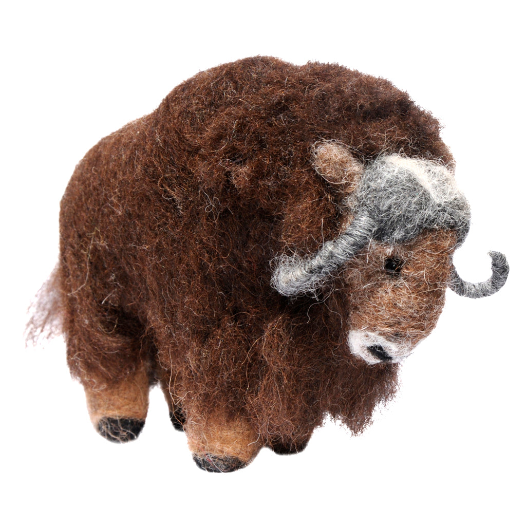 Musk Ox