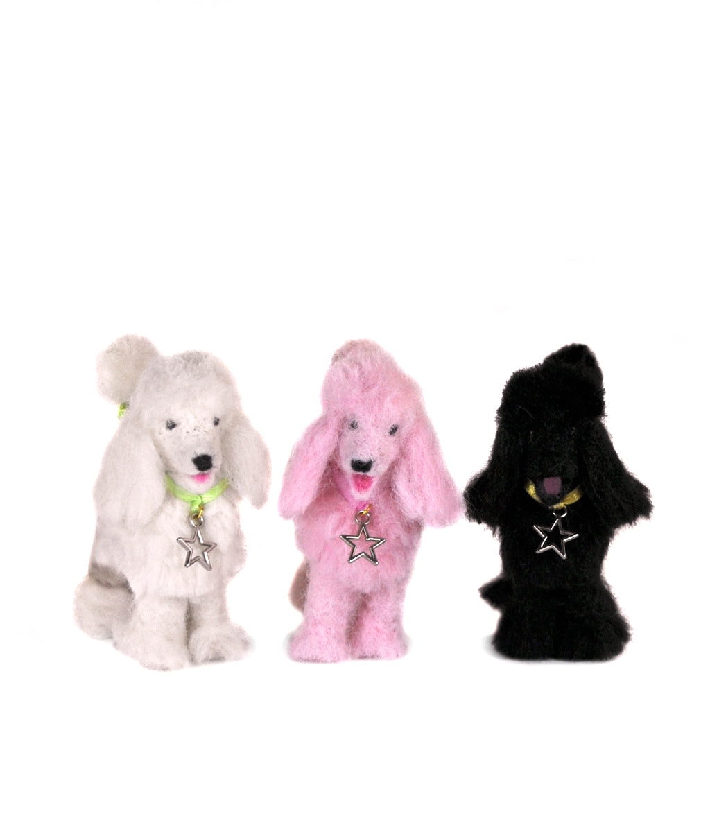 Poodle