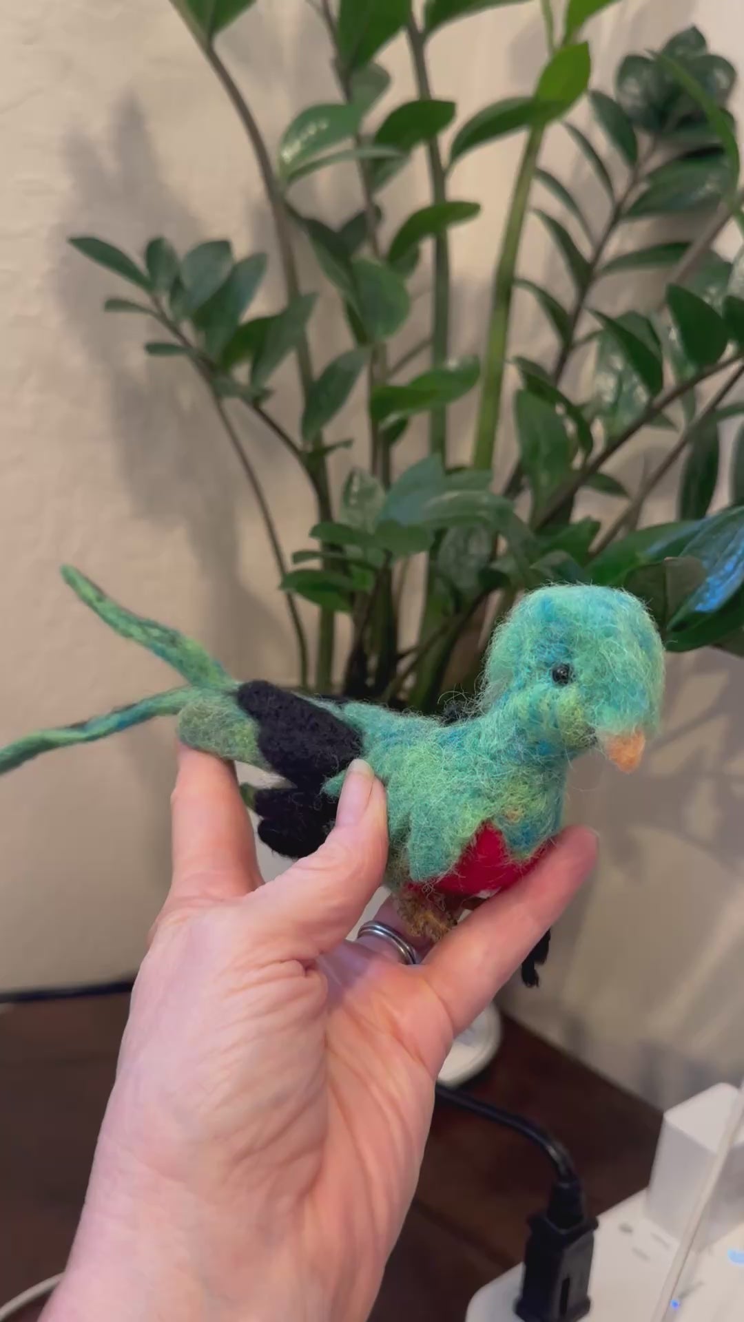 Quetzal Bird
