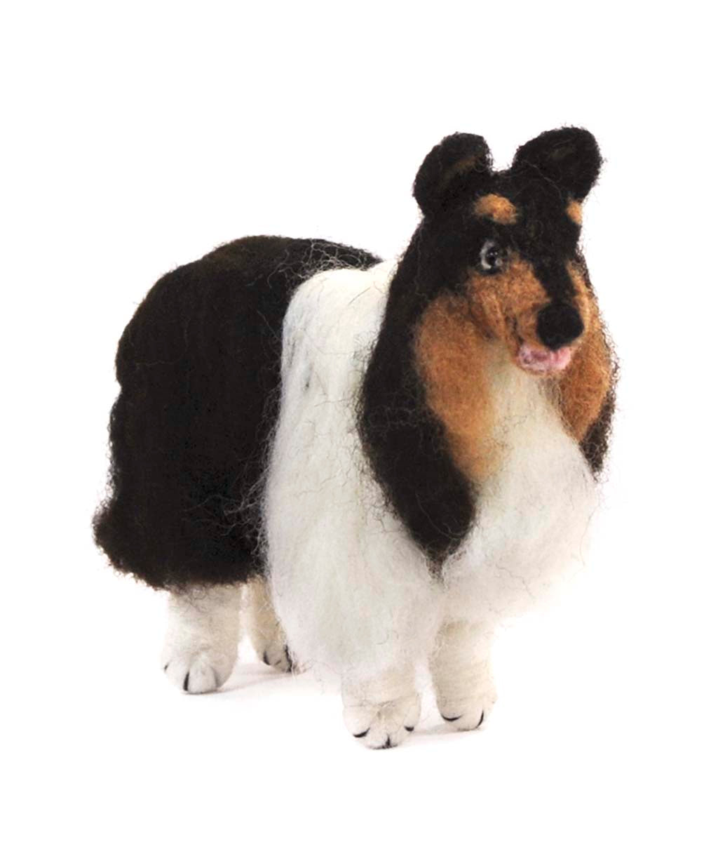 Rough Collie