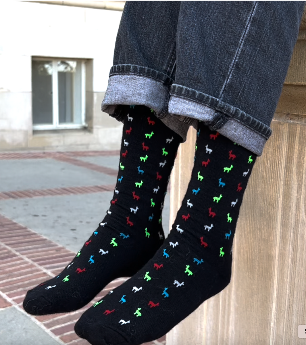 Dress: Colorful Logo Socks - Black