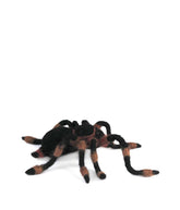 Tarantula - Lanart Alpaca