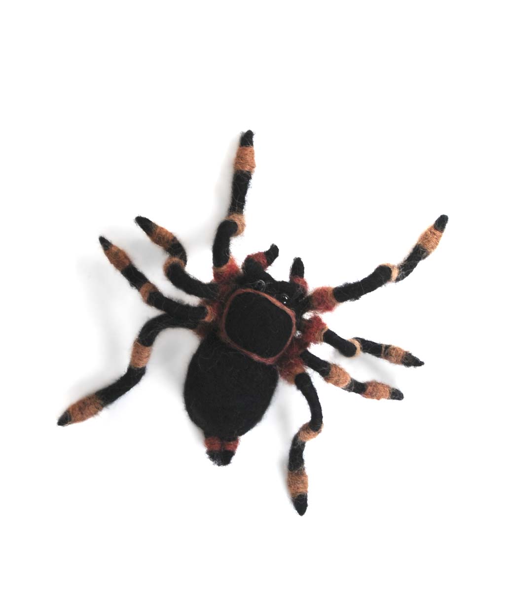 Tarantula