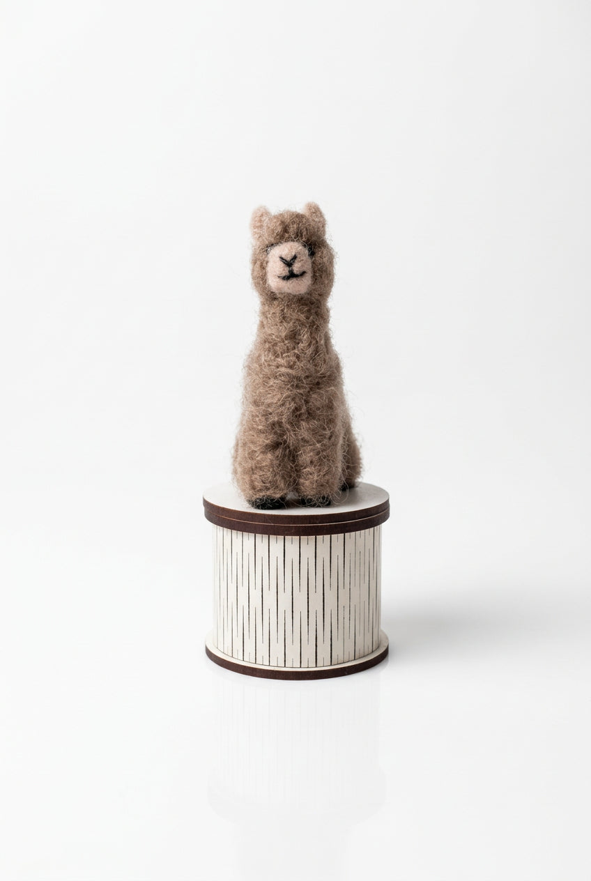 Treasure Box - Alpaca