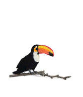 Toucan - Lanart Alpaca