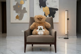 Honey teddy bear with a small pearl teddy bear sitting on a gray armchair in a modern room with abstract art on the wall.