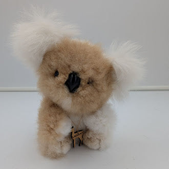 Cool Koala — Studio