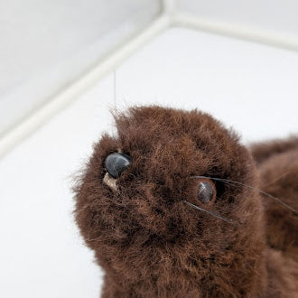 Furry Seal — Studio