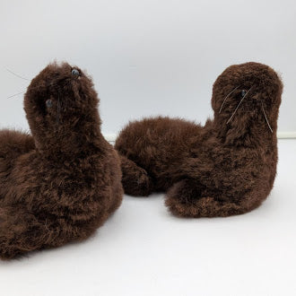 Furry Seal — Studio