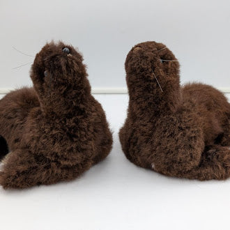Furry Seal — Studio