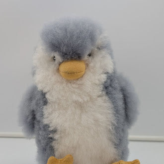 Pretty Penguin — Studio