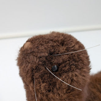 Furry Seal — Studio