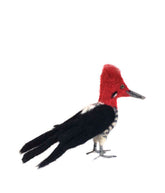 Woodpecker - Lanart Alpaca